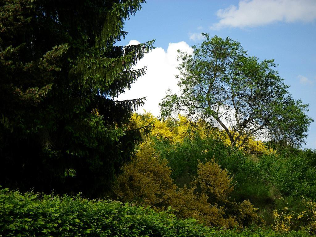 Hotel Auszeit Am Eifelsteig Daun Zewnętrze zdjęcie