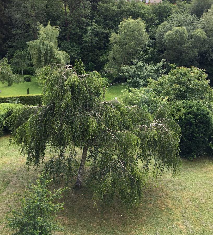 Hotel Auszeit Am Eifelsteig Daun Zewnętrze zdjęcie