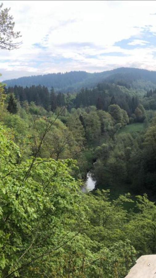 Hotel Auszeit Am Eifelsteig Daun Zewnętrze zdjęcie